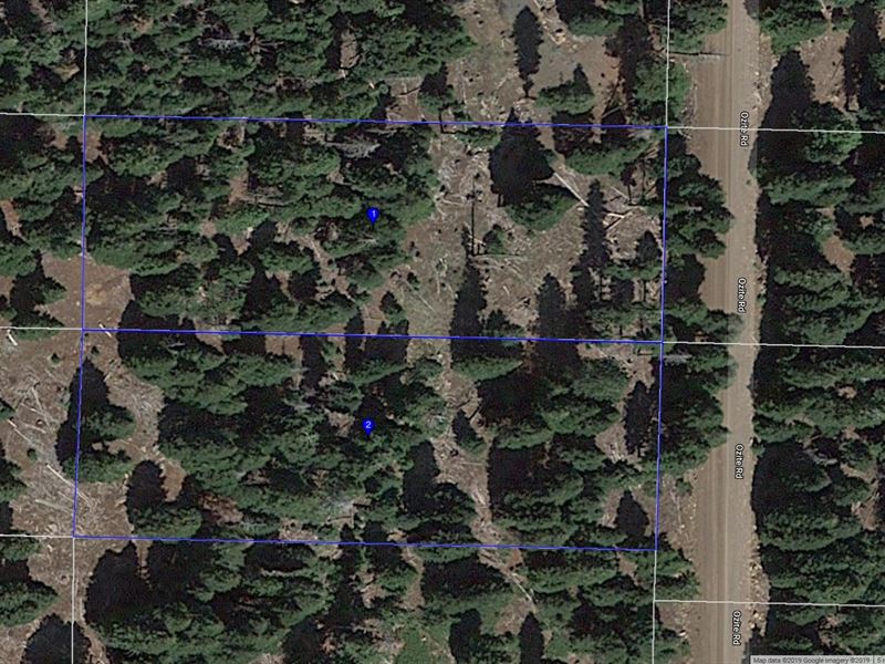 1.82 Acres Pines Modoc County : Alturas : Modoc County : California