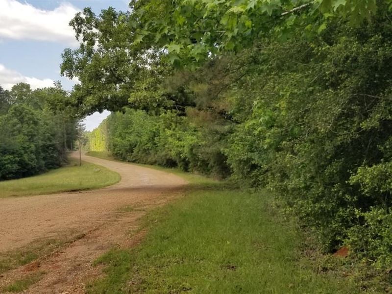 Hurricane Grove Road South Homestea : Winnfield : Winn Parish : Louisiana