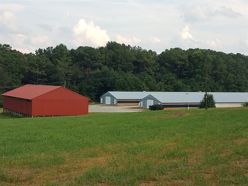6 House Poultry Farm W/Log Home : Ellijay : Gilmer County : Georgia