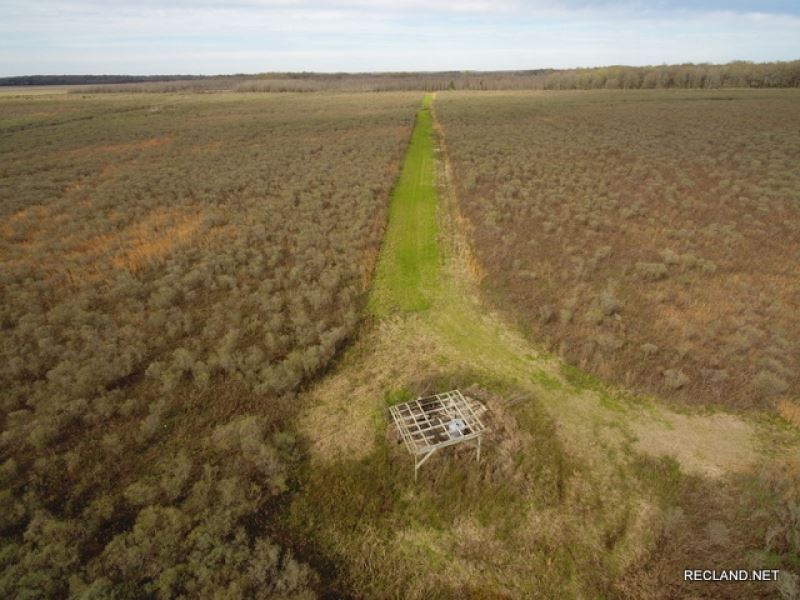 285 Ac, Deer & Duck Hunting Wr : Fort Necessity : Franklin Parish : Louisiana
