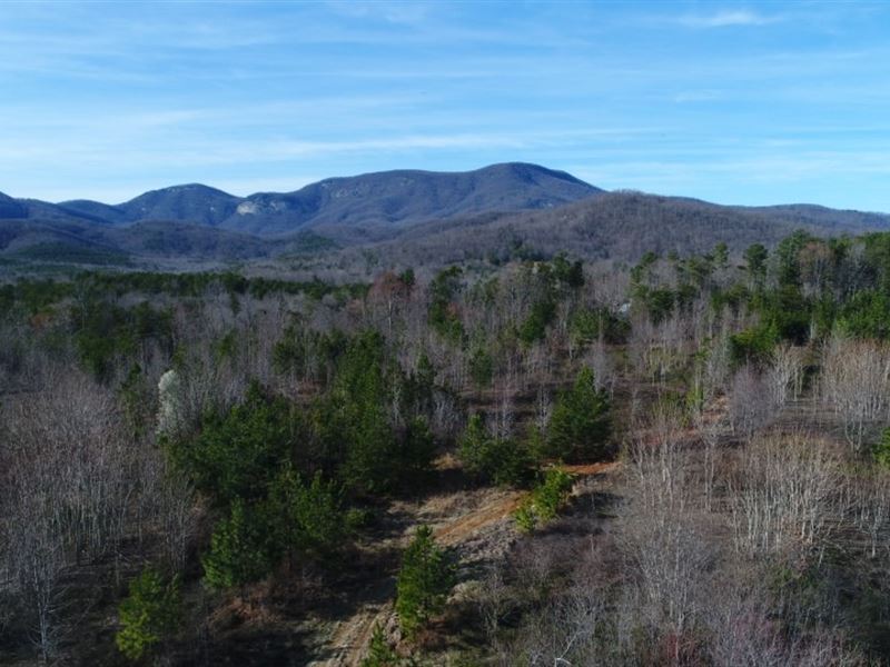 23Acres Near Landrum, Mount Views : Landrum : Greenville County : South Carolina