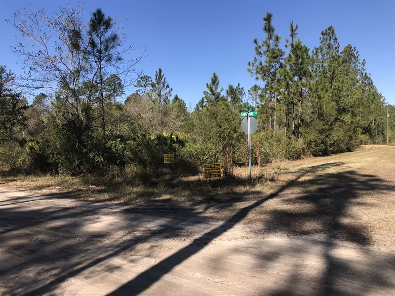 Daytona North/Mondex Corner Lot : Bunnell : Flagler County : Florida