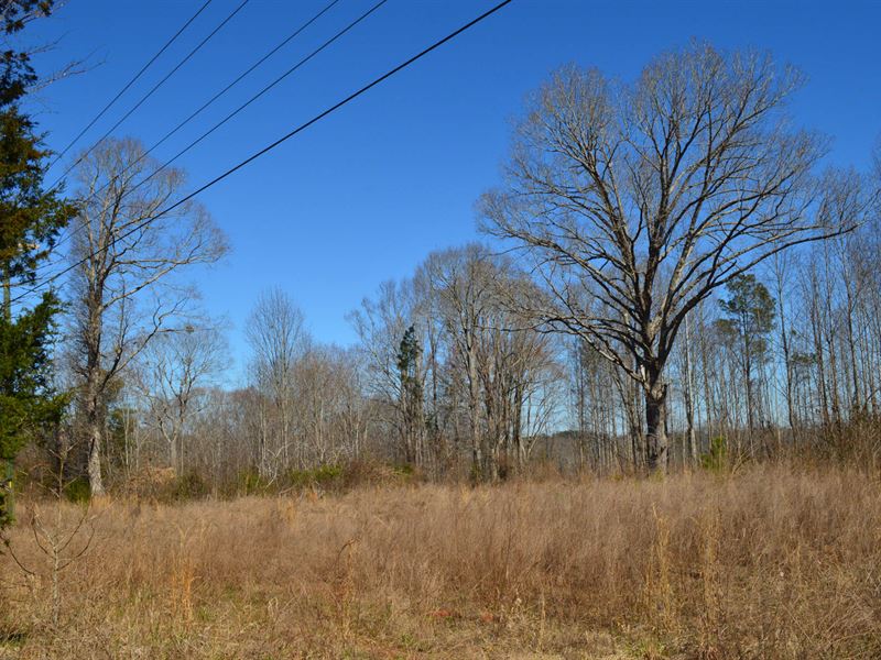 57.5 Acres Near Woodruff : Woodruff : Spartanburg County : South Carolina