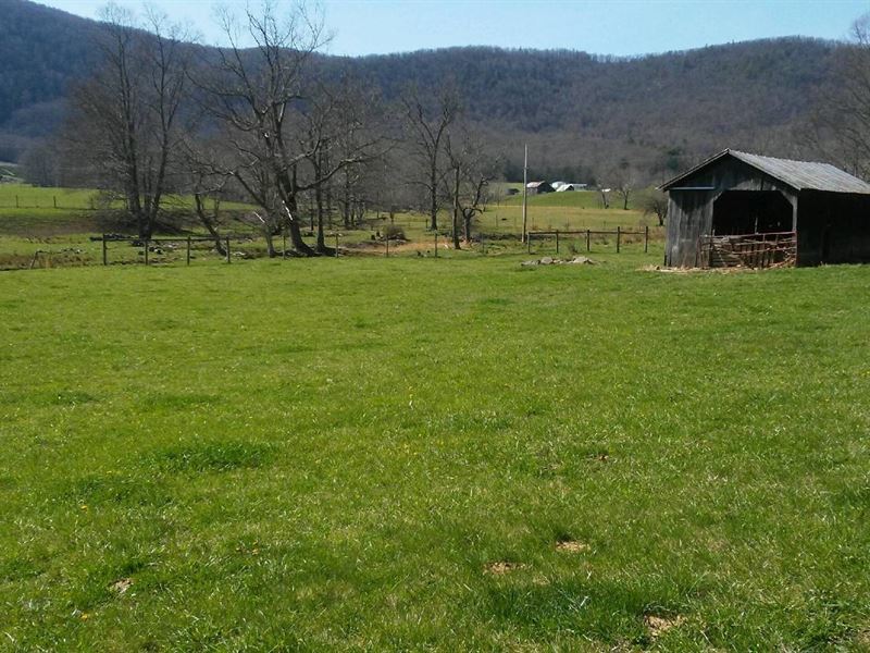 Mini Farm With Two Streams Land for Sale in Elk Creek, Grayson County