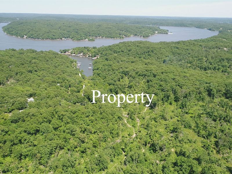Owner Financed 81 Acres : Camdenton : Camden County : Missouri