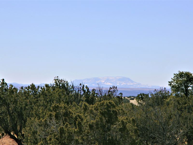 37 Acres with Greenhouse : Saint Johns : Apache County : Arizona