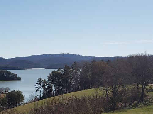 Cherokee Lake Front Lot : Rutledge : Grainger County : Tennessee