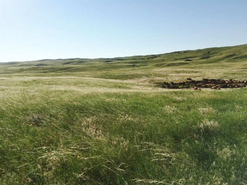 Duck Bar Ranch : Valentine : Cherry County : Nebraska
