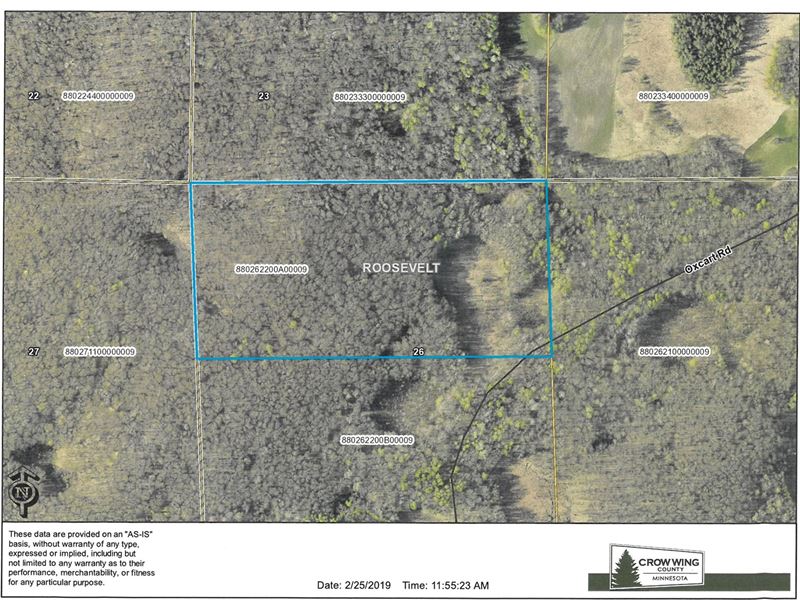Crow Wing County Hunting Land Land for Sale in Garrison, Crow Wing
