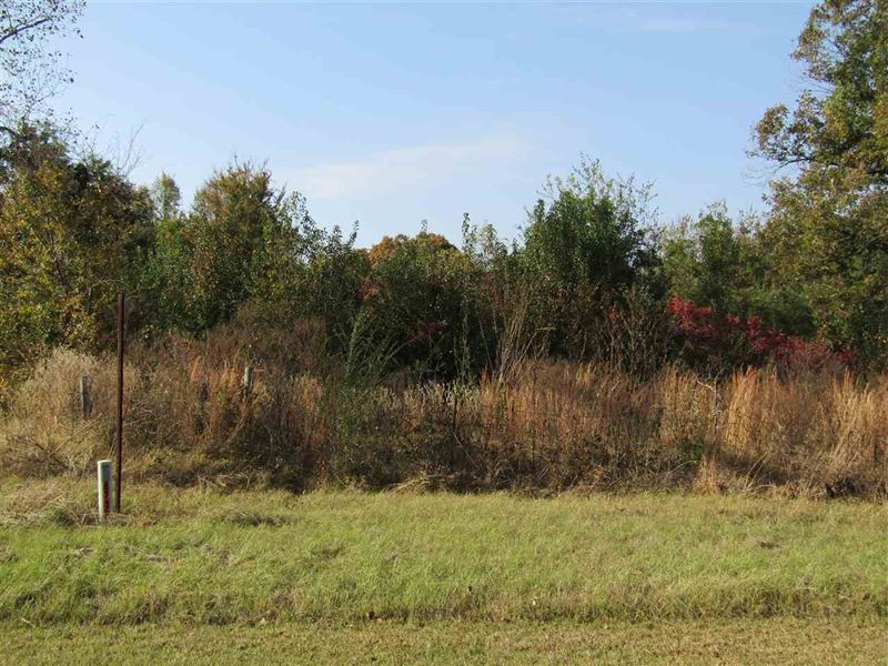 Acreage with Trees and Pond : Paris : Lamar County : Texas