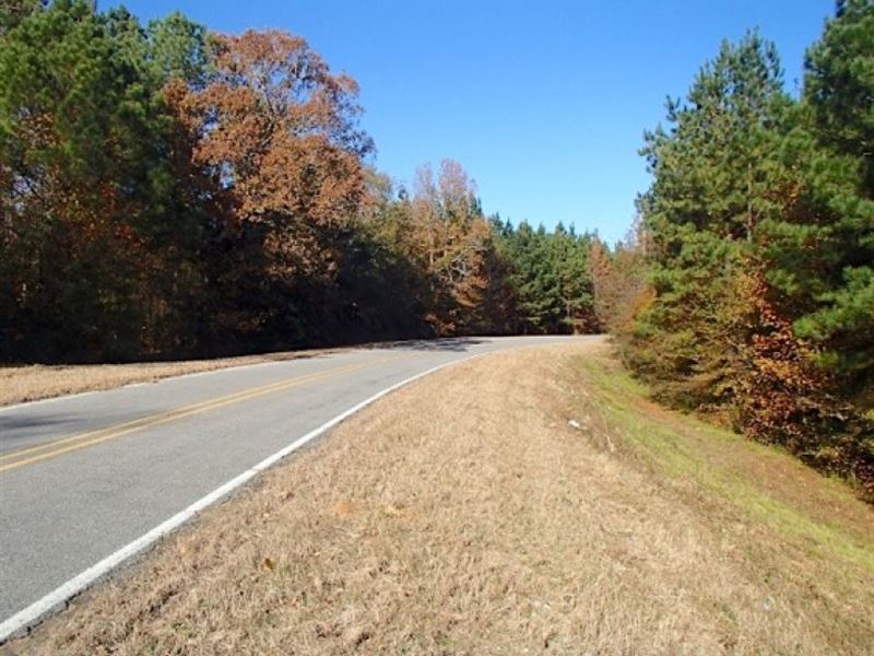 17 Acres In Neshoba County In Phila Land for Sale in Philadelphia