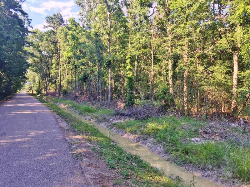 23 Acres for Sale Springfield, Livi, Land for Sale in Louisiana