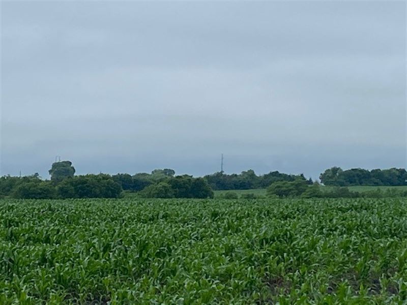 Land, 5760 Fm 548, Royse City, TX : Royse City : Rockwall County : Texas