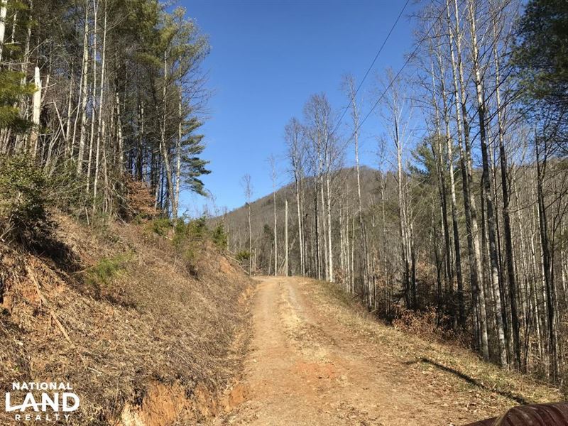 Colletsville Forest Creek Lot 65 : Collettsville : Caldwell County : North Carolina