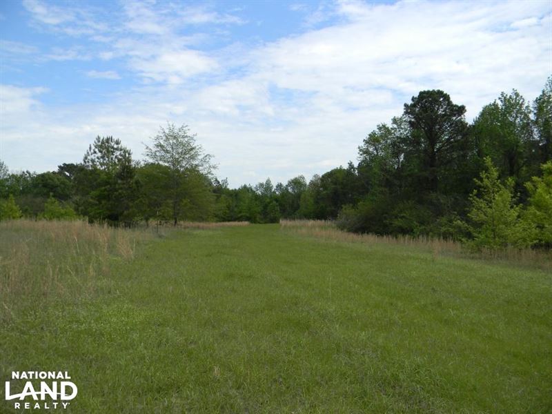 Hartley Road Deer, Turkey & Lodge : Marion : Perry County : Alabama