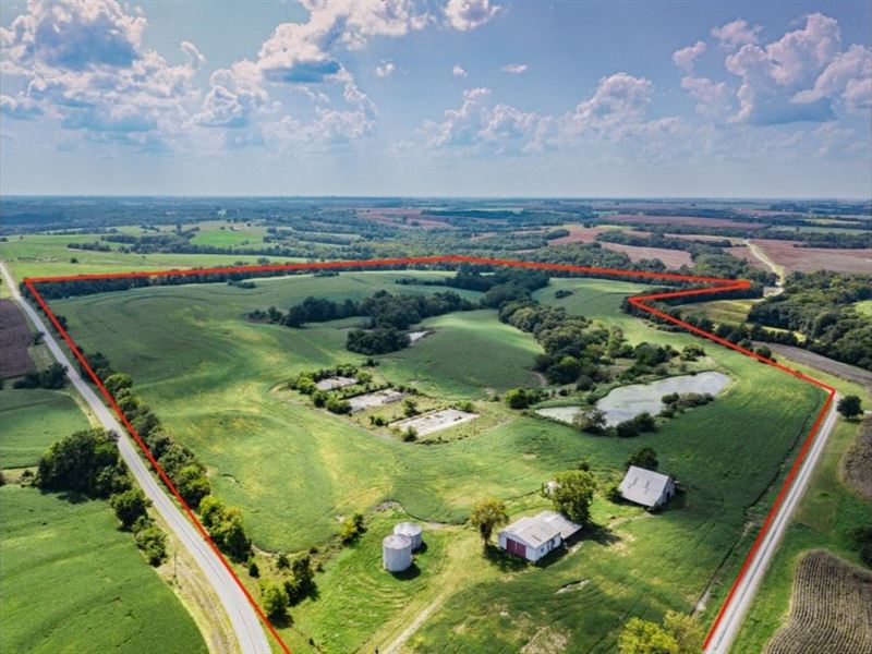 Income Producing Tillable Farm : Gilliam : Saline County : Missouri