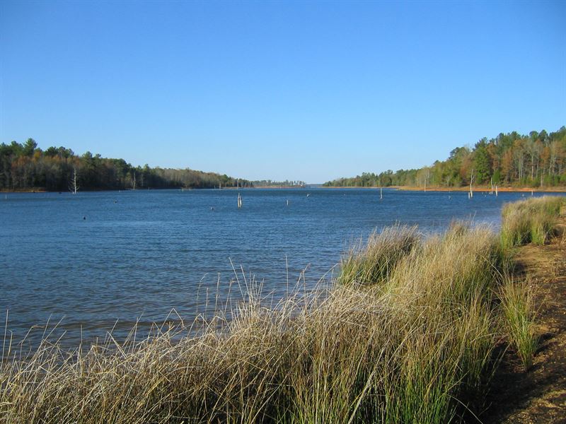 Enjoy Lake Russell Land for Sale in Elberton, Elbert County,