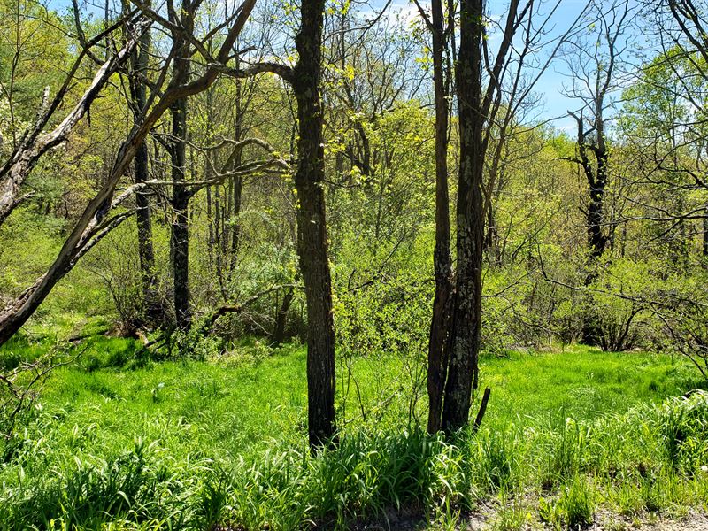 Buildable, Small Acreage Tract : Troutdale : Grayson County : Virginia