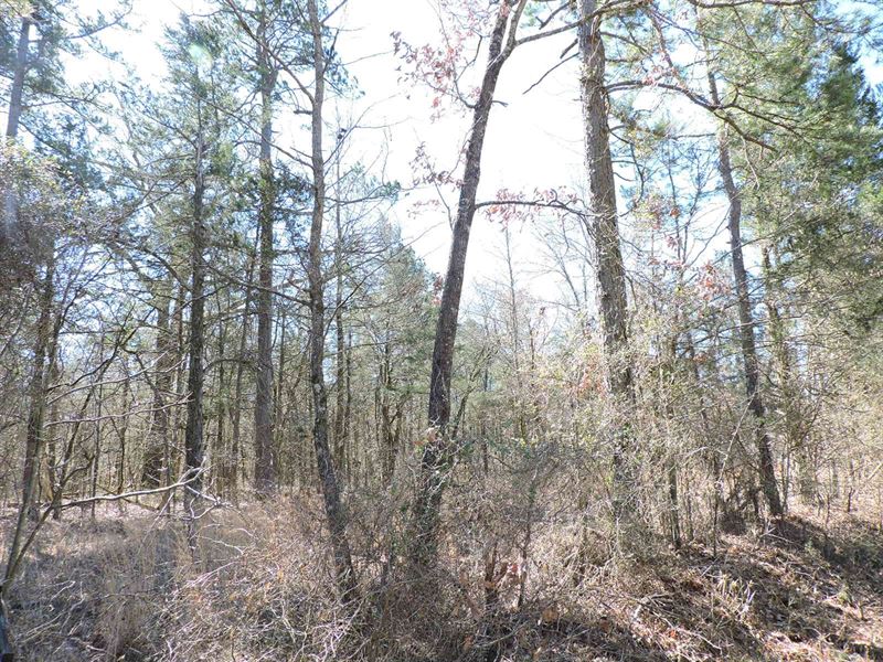 3 Acres M/L Great Hunting Cabin : Waldron : Scott County : Arkansas