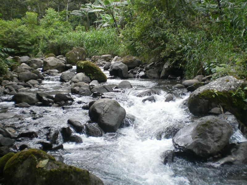 Wilderness Wonderland, River : La Suiza De Turrialba : Costa Rica