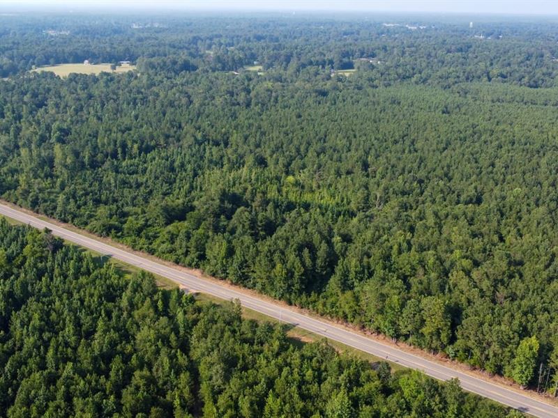 72 Acres on Hwy 69 Columbus, MS : Columbus : Lowndes County : Mississippi