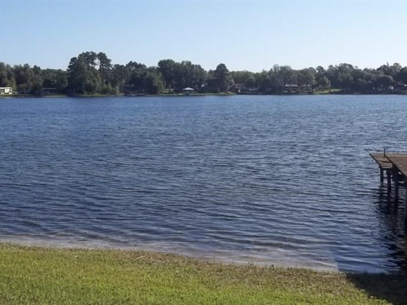 homes and land lake county fl