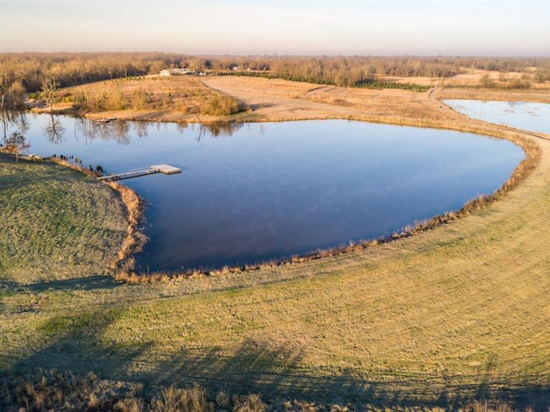 Sanders Creek Ranch : Sumner : Lamar County : Texas