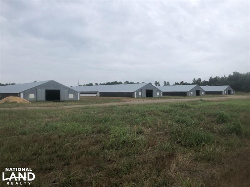Fort Motte Chicken Farm : Saint Matthews : Calhoun County : South Carolina