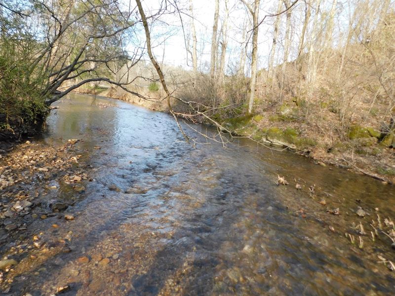 Hobby Farm Tn, Home Acreage, Creek : Waynesboro : Wayne County : Tennessee