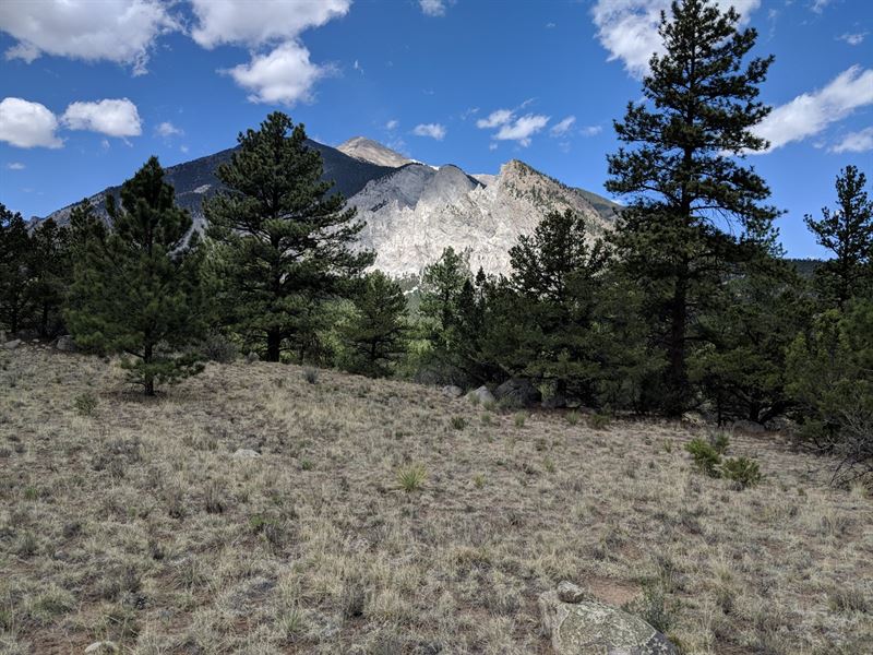 Mt, Princeton Views Colorado : Nathrop : Chaffee County : Colorado