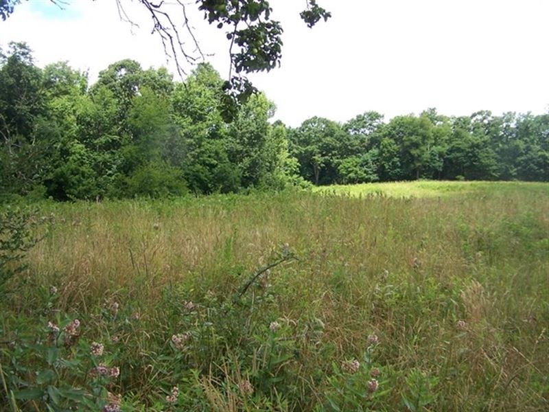 Secluded Tract Blue Ridge Mountains : Troutdale : Grayson County : Virginia
