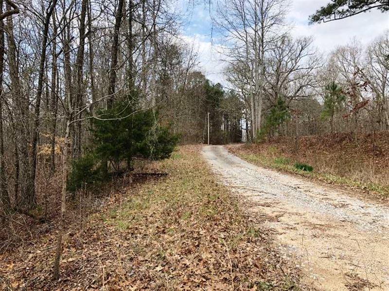 39.50 Acres Land for Sale Marion : Hackleburg : Marion County : Alabama