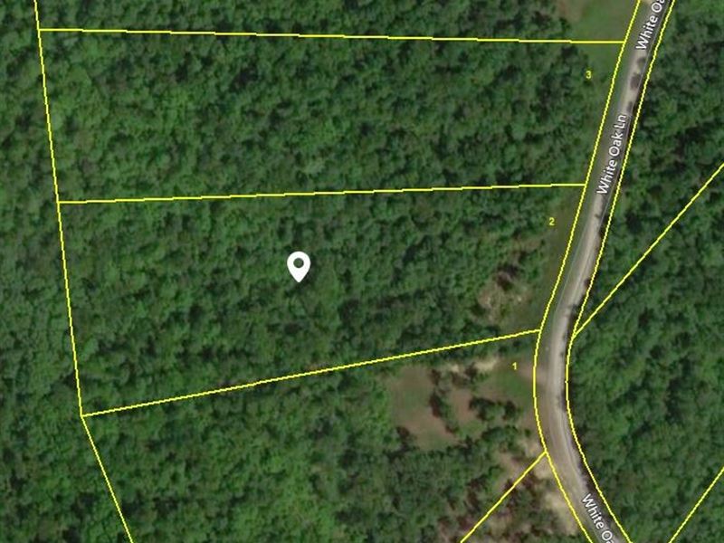 Crawford Tn/Ledges White Oak Flat/5 Land for Sale in Crawford