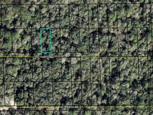 Lot For Home, Dixie County, Fl : Cross City : Dixie County : Florida