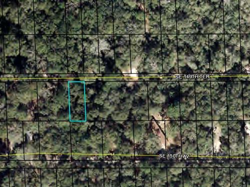 Lot For Home, Dixie County, Fl : Cross City : Dixie County : Florida
