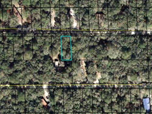 Lot For Home, Dixie County, Fl : Cross City : Dixie County : Florida