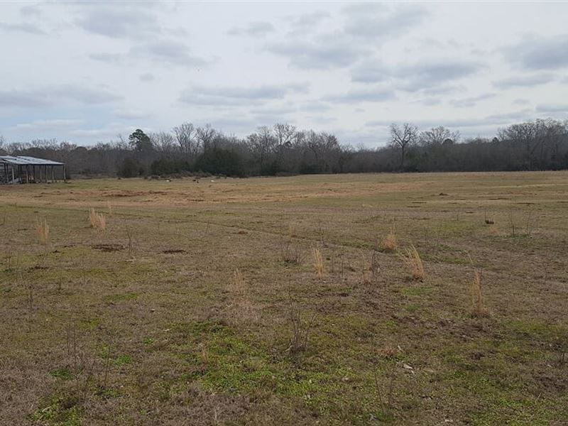 Recreational Land For Sale : Clayton : Pushmataha County : Oklahoma
