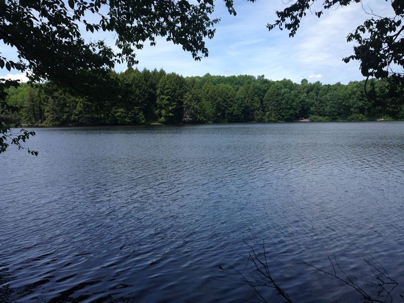 On Beaver Meadow Lake, Land for Sale in New York, 193688 LANDFLIP