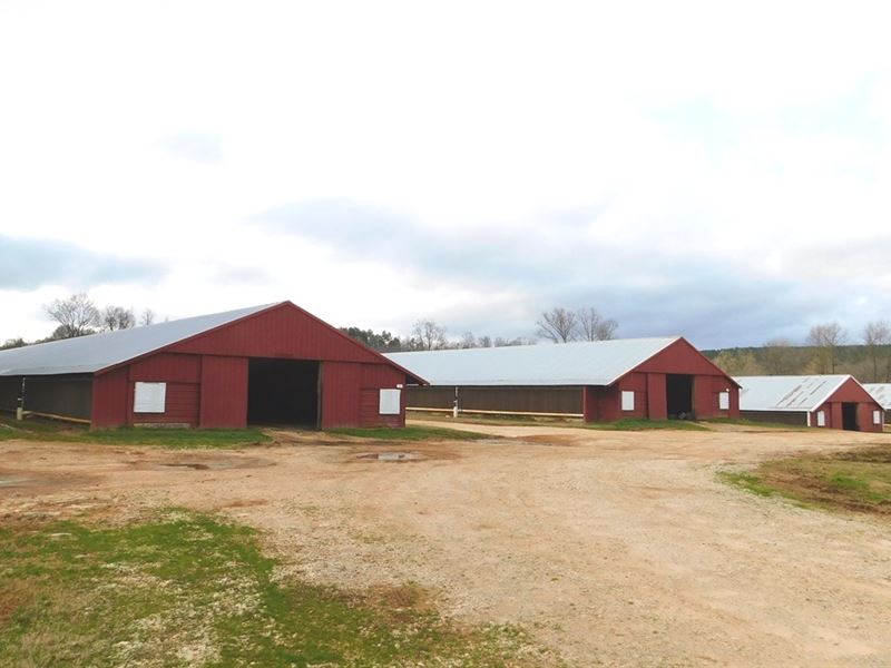 Broiler Farm & 46 Acres : Ashland : Clay County : Alabama