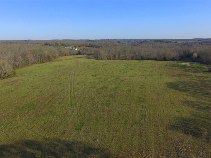 72 Ac Farm in Super Desirable Area : Lyles : Hickman County : Tennessee