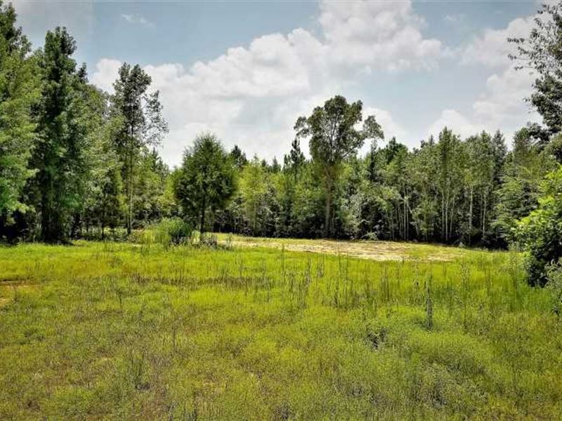 228 Acre White Oak Duck Slough : Ramer : McNairy County : Tennessee
