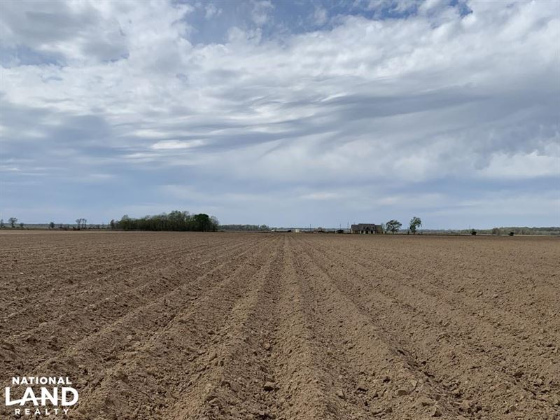 52 Acres of Irrigated, Leveled Farm : Start : Richland Parish : Louisiana
