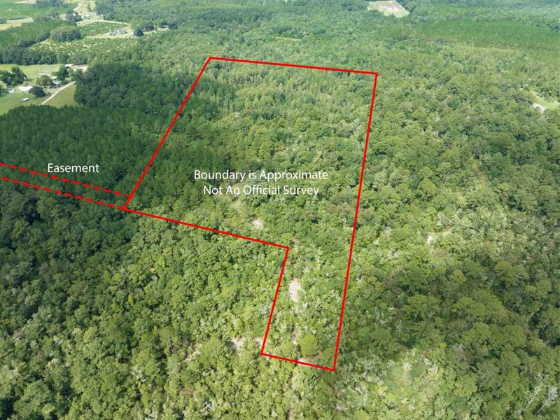 Vacant NW 28th St : Jennings : Hamilton County : Florida