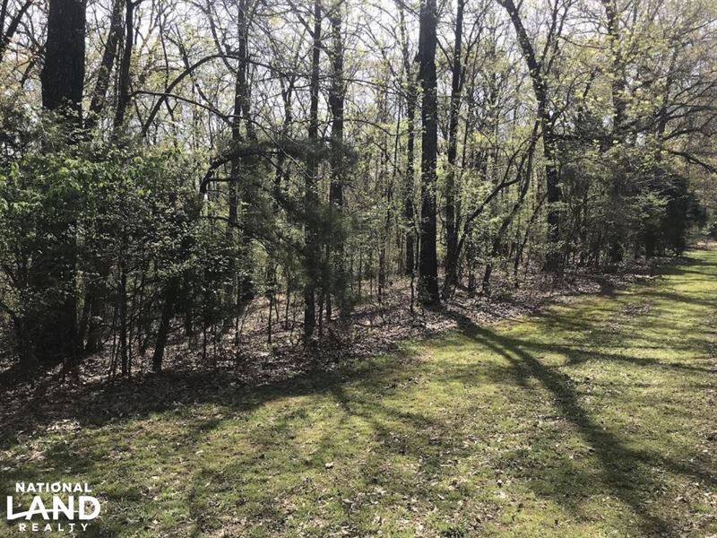 1.61 Acres Near White River & White : Casscoe : Arkansas County : Arkansas