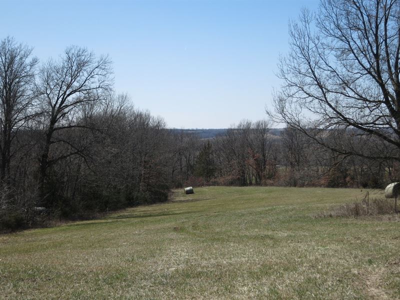 Smaller Hunting Tract Northwest : Cainsville : Harrison County : Missouri