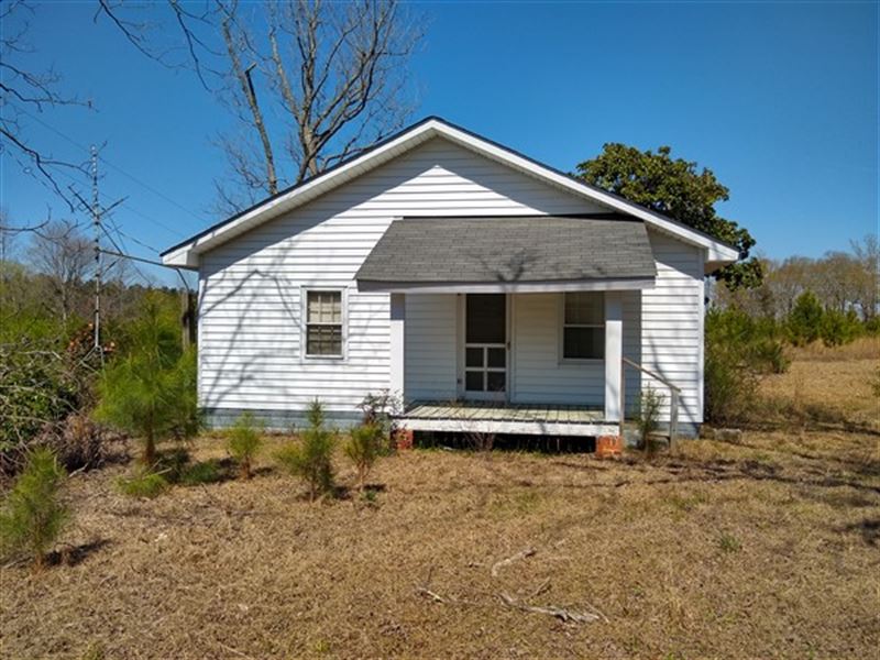 39.1 Acres, Chesterfield County, Sc Land for Sale in Jefferson