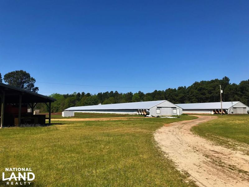Bowman Turn-Key Chicken Farm : Bowman : Orangeburg County : South Carolina