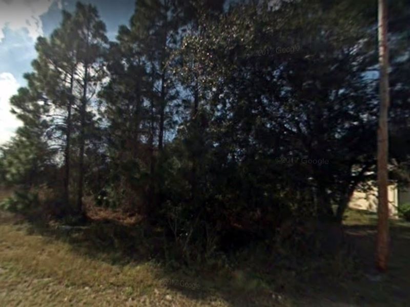 Lee County, Fl $12,000 Neg : Lehigh Acres : Lee County : Florida