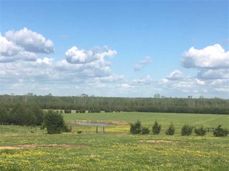 320 ac Working Cattle Ranch : Starkville : Oktibbeha County : Mississippi