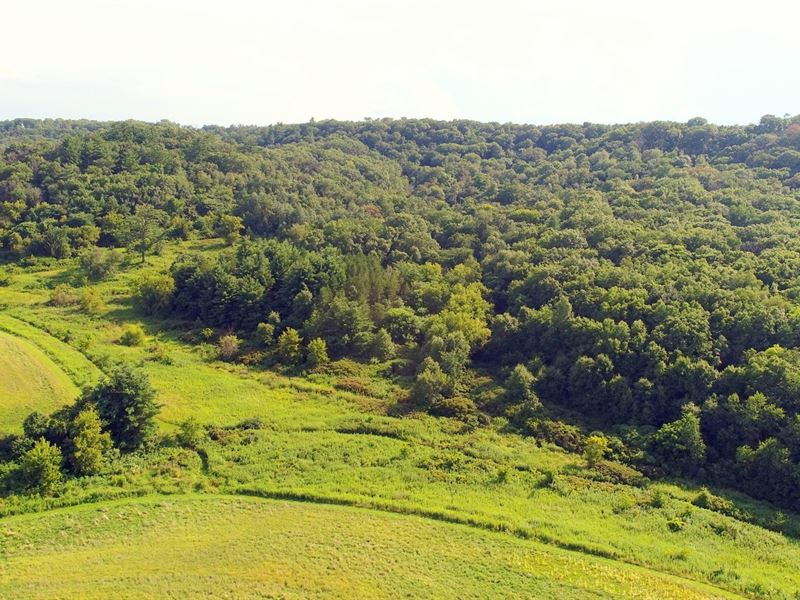 Very Special Tract Of Land : Dodgeville : Iowa County : Wisconsin
